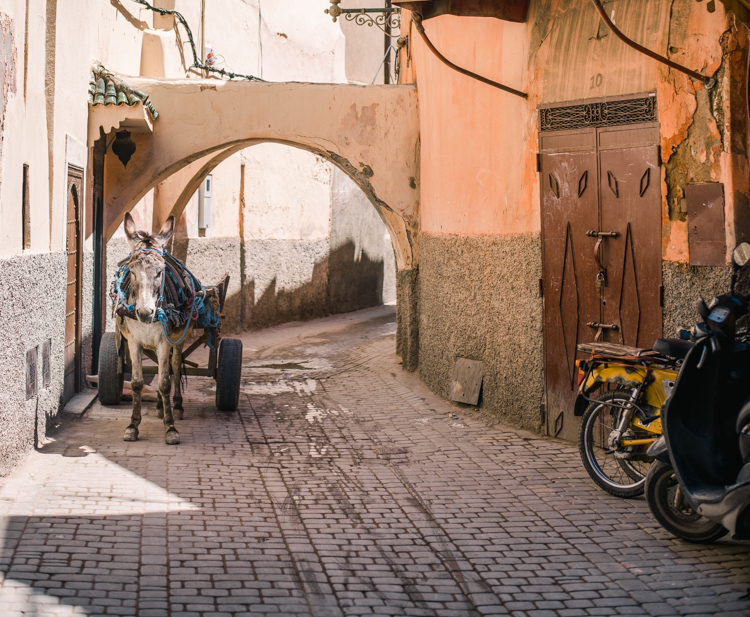 marrakech morocco-14.jpg