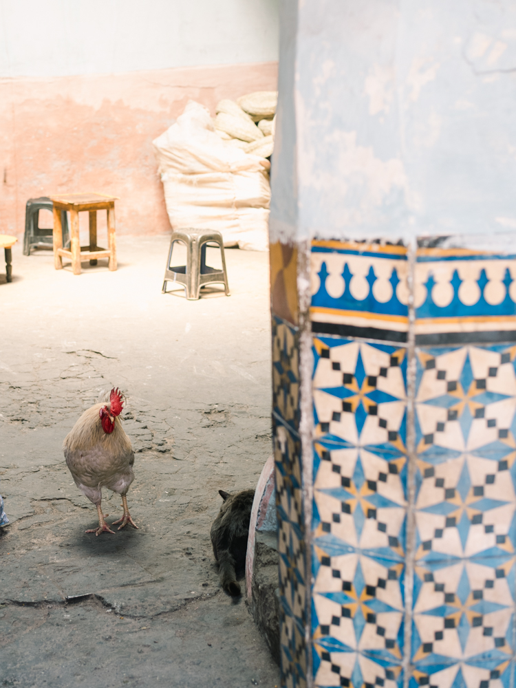 marrakech morocco-21.jpg